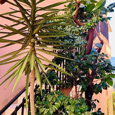 Apartment House Gallery Sardinia -il Sogno- *