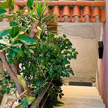 Apartment House Gallery Sardinia -il Sogno- Cuglieri